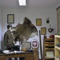 The Forester’s Office