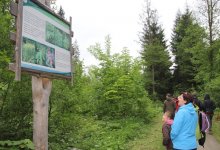 Nature Path Malinka, fot. B. Tyrna