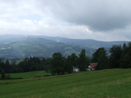 SZULIK IRENA