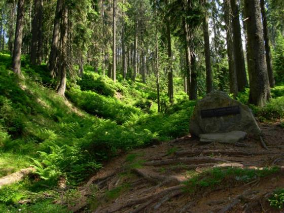 Nature Reserve of Mount Barania