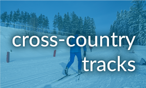 cross-country tracks banner